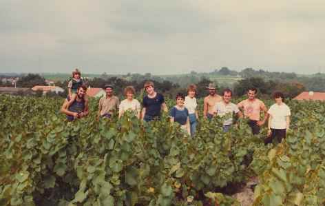 vendanges 1982 - dans les vignes 