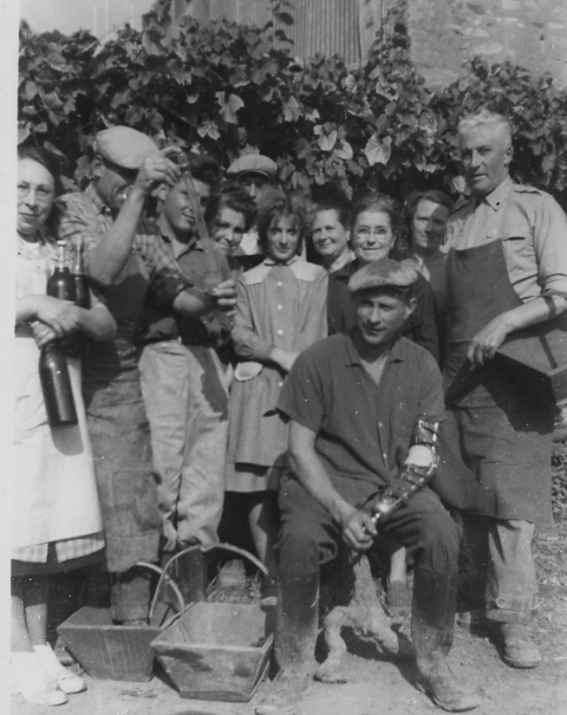 1962 l'quipe dans la vigne