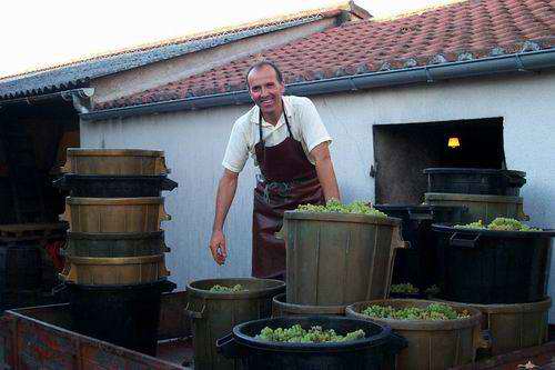 Maurice surveille ses cuves et goute son MUSCADET pour suivre l'volution du vin