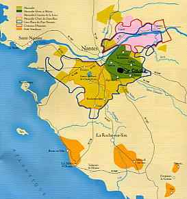 le vignoble Nantais, en vert l'appellation Svre et Maine, au milieu duquel se situe St Fiacre